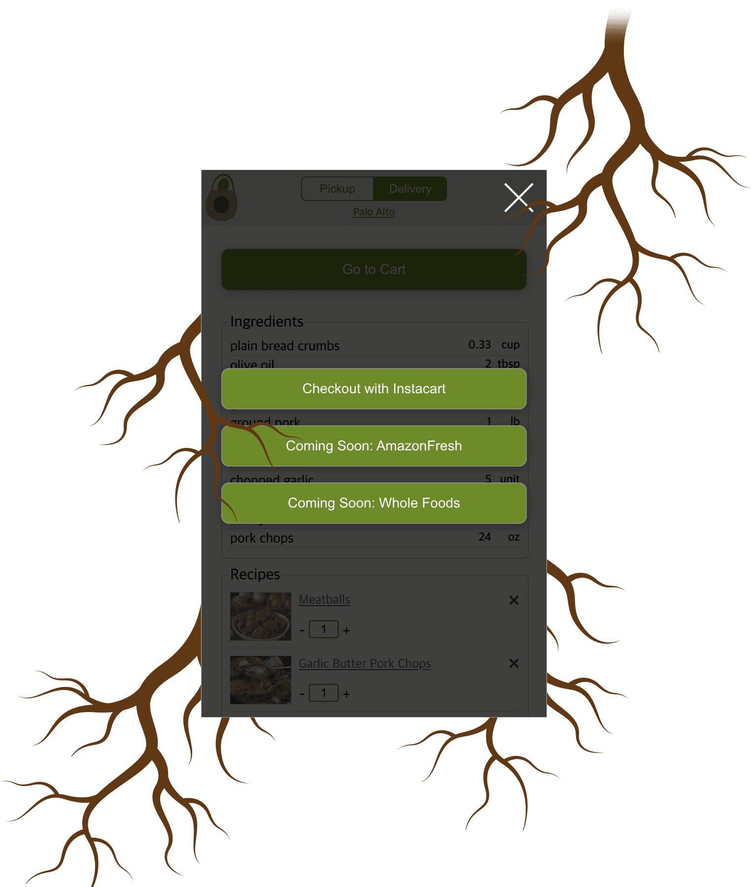 demo image